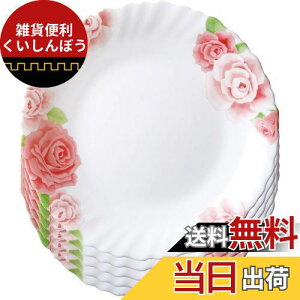 iwaki(CL) ϔMKX H ϔMM t@~Gbg [Y M 19cm ×5_Zbg dqWΉ B11369-RS