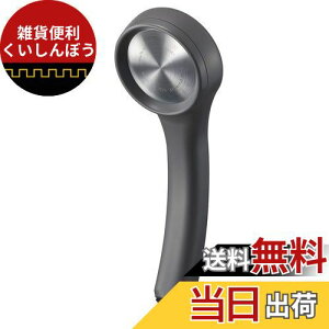 SANEI(サンエイ) シャワーヘッド レイニーベーシック 節水率40% 極細水流 勢いアップ ステンレスシャワー板 グレー 日本製 PS310-80XA-HA20