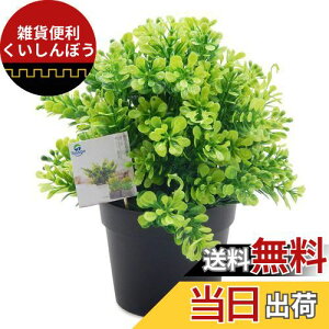 TOSSOW lHϗtA tFCNO[ ϗtA tFCN  ~j CeA [J