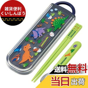 XP[^[(Skater)  Xv[Zbg fBmTEX CCA1 {-A