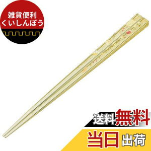 XP[^[ (skater) H@Ή AN  21cm ||v nslXK[ TI AAC45