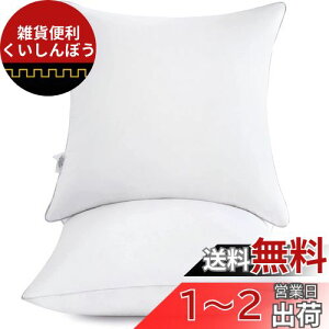 CUTEWIND NbV k[hNbV 40x40cm ֎q \t@[  w NbV g `` 100n zʋC ȂՂ KxȒe @Ő􂦂 2Zbg