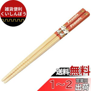 XP[^[ (skater)  | 16.5cm Xk[s[ s[ibc g { ANT2