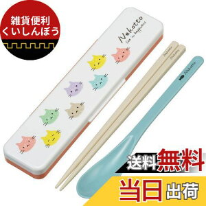 XP[^[(Skater) RrZbg  Xv[ Zbg CI Ag+ R ˂ Jt { 18cm CCS3SAAG