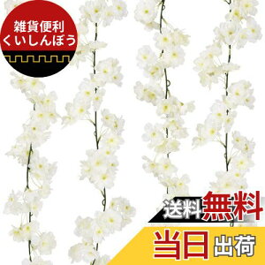 Pknoclan   ̉ ԓ CeA ݂邷 Ǌ| ͂Ȃ lHϗtAAEp[eB[EEErO[EEVbv DIYA̓ Mtg  