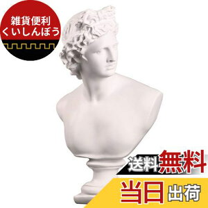 VORCOOL ΍p frbh ΍p l u  k ͌^ f H|i G IuWF 蕨    CeA  31cm