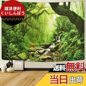 Pknoclan X^yXg[  kǊ|^yXg[ RiǊ|z 235x180cm唻z|X^[   ͗lւ CeA