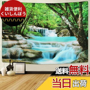 Pknoclan X^yXg[ kǊ|^yXg[ X̃JXP[h^yXg[ Riz|X^[  X̑ 235x180cm唻Ǌ|z   ͗lւ CeA