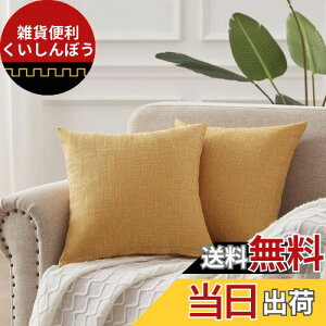 CUTEWIND NbVJo[ 45×45cm  k l n zcJo[ Jo[ w CeAG C[G 2Zbg