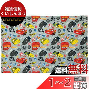 XP[^[ (skater) 唻 `}bg 60x40cm Ȃ܂^Ot fBYj[ J[Y LTM1-A