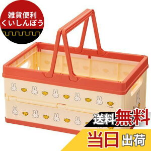 XP[^[ (skater) [{bNX ܂肽 [P[X oXPbg ~btB[ ML̃S 38×25×19.5cm BWOT13-A