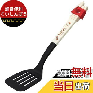 XP[^[ (skater) iC  ^[i[ Xk[s[ KWTA1-A