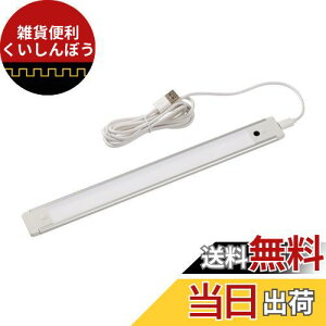 Gp (ELPA) LEDړIUSBڐG LEDCg 260lm ALT-USB2030IR(L)