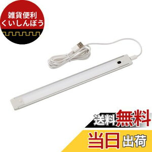 Gp (ELPA) LEDړIUSBvbV LEDCg 280lm ALT-USB2030PS(D)