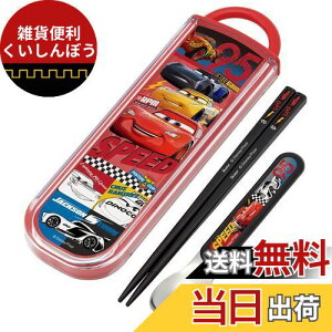 XP[^[  Xv[Zbg R fBYj[ J[Y 22 { CCA1AG-A