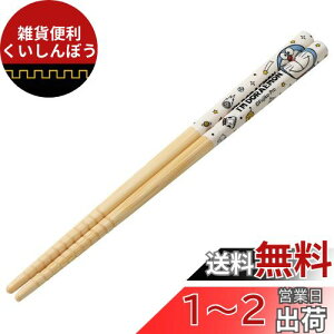 XP[^[ (skater)  | 16.5cm I'mh TI { ANT2-A