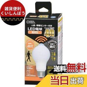 I[(OHM) d@ LEDd E26 40` lÃZT[t dF lZT[ 40bg _  gC L Ki LDA5L-G R51 06-4463