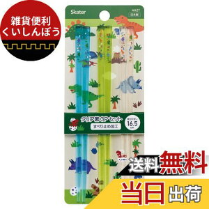 XP[^[ (skater) AN NA  16.5cm 3Vg fBmTEX { AA2T-A