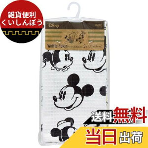 XP[^[(Skater) btnӂ3 fBYj[ ~bL[}EX 31×41cm KFWC3-A