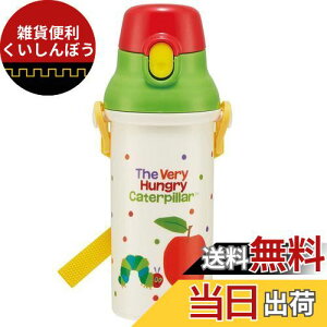 XP[^[(Skater) qp vX`bN  480ml R ͂؂ނ { PSB5SANAG-A