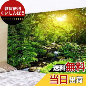 Pknoclan ^yXg[ X k  唻 Ǌ| R 235x180cmz|X^[ V΂̕ ⑋̏ CeA rO[ xbh[ X Mtg