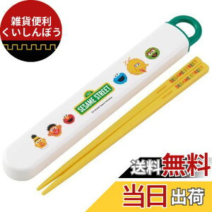 XP[^[ (skater) qp  Zbg R ZT~Xg[g { 16.5cm ABS2AMAG-A