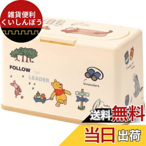 XP[^[ (skater) R }XNXgbJ[ ܂̃v[ AEghA 60[ MKST1NAG