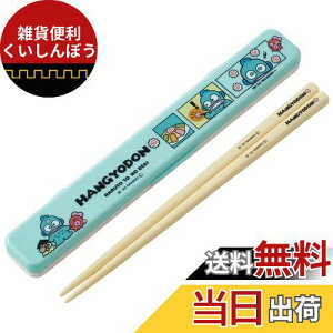 スケーター 箸 箸箱 セット はんぎょどん コミック 18cm 抗菌 大人用 日本製 ABC3AG-A