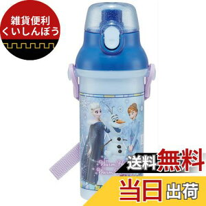 スケーター(Skater) 水筒 480ml アナと雪の女王 23 子供用 女の子 抗菌 プラスチック製 日本製 PSB5SANAG-A