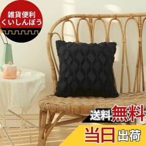 YunJeude NbVJo[ 45x45cm k 2Zbg tFCNt@[ xxbg    _炩 ̓I 􉽊w͗l _ GKg t@Xi[ ƒ둕   CeA xb