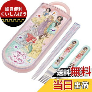 XP[^[(Skater) gIZbg  Xv[ tH[N fBYj[ vZX 23 qp ̎q R { TACC2AG-A