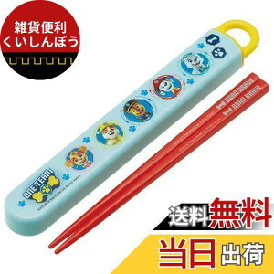 XP[^[(Skater)  16.5cm Zbg pEEpg[ 23 qp R { ABS2AMAG-A