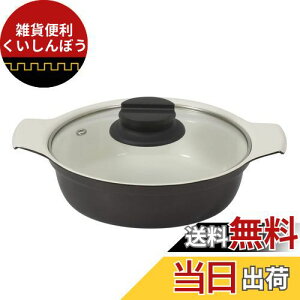 xXgR   IH 16cm KXWt Cbh Z~bN NQ-0051 rXg J[