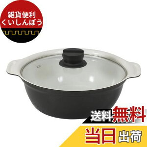 xXgR   IH 24cm KXWt Cbh Z~bN NQ-0053 rXg J[