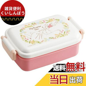 スケーター(Skater) 弁当箱 450ml となりのトトロ メイといっしょ 抗菌 子供用 日本製 RBF3ANAG-A