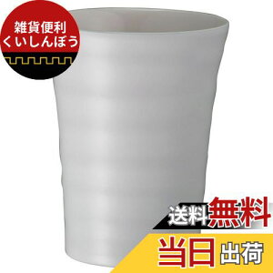 xXgR &Ђ Ē ^u[ Z~bN 300ml ^d\ ۗ ۉ VCzCg NM-151