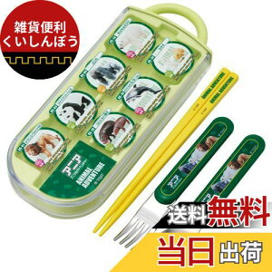 XP[^[(Skater) gIZbg  Xv[ tH[N AjA 23 qp R { TACC2AG-A