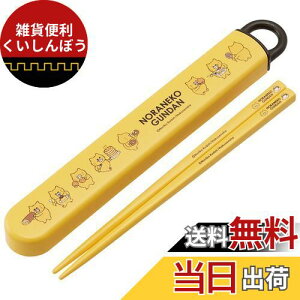 XP[^[(Skater)  Zbg mlR񂾂 16.5cm qp R { ABS2AMAG-A