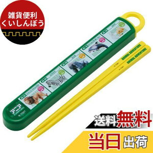 XP[^[(Skater)  Zbg AjA 23 16.5cm qp R { ABS2AMAG-A