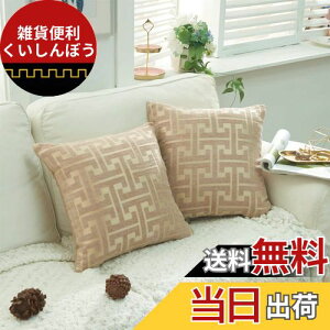 YunJeude �N�b�V�����J�o�[ 50x50cm �V�F�j�[�����n �􉽊w�͗l �� ������� �_�炩���k�� ���� �\�t�@�w���� �s���P�[�X �� �֎q �C���e���A���� 2���Z�b�g (�J�[�L, 50x50)