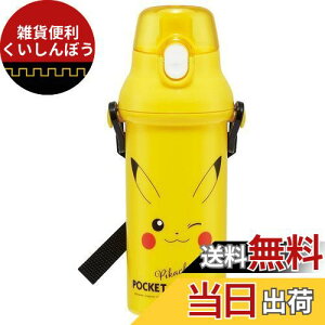 XP[^[(Skater)  |PbgX^[ sJ`E tFCX 480ml qp R vX`bN { PSB5SANAG-A