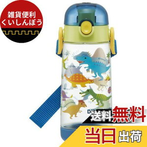 XP[^[(Skater)  500ml fBmTEX sN`[ vbV vX`bN qp j̎q PDDR5