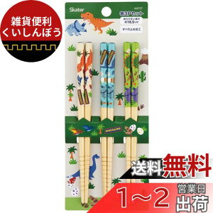 XP[^[(Skater) |  16.5cm 3Vg fBmTEX ANT2T-A