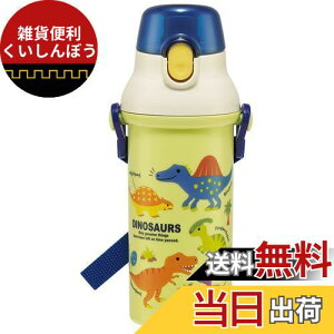 スケーター(Skater) 水筒 ディノサウルス ピクチャー 480ml 子供用 男の子 抗菌 プラスチック製 日本製 PSB5SANAG-A