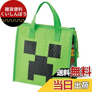 XP[^[(Skater) `obO sDz ۗobO Minecraft }CNtg FBC1-A