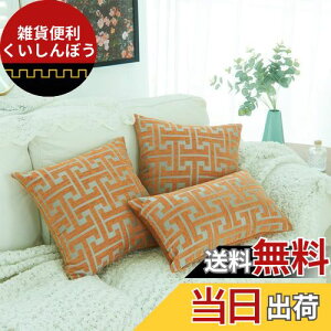 YunJeude クッションカバー 60×60cm シェニール生地 幾何学模様 柄 おしゃれ 柔らかい北欧 可愛い ソファ背当て 装飾枕カバー 抱き枕カバー 座布団カバー ピロケース 車 椅子 インテリア飾り 2枚