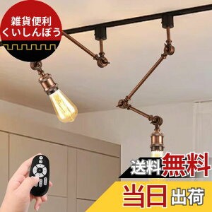 ANWIO ダクトレールライト 2個セット E26口金 600LM 消費電力6W(60W形相当) 角度調節自由 LED電球付き リモコン付き 調光 調色 ロングタイプ 長アーム レールライト ライティングレール器具 ダク