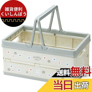 XP[^[(Skater) ܂肽 [{bNX ᔠ nht ςݏd˃oXPbg ~btB[ mg[ 38x25x19.5cm BWOT13-A