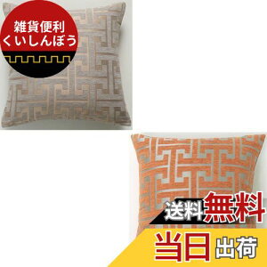 YunJeude NbVJo[ 45×45cm VFj[n 􉽊w͗l   _炩k  \t@w Jo[ Jo[ zcJo[ sP[X  ֎q CeA 2