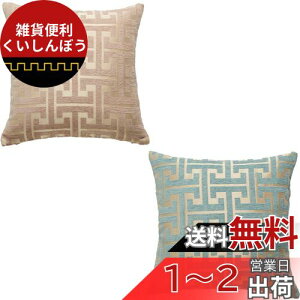YunJeude NbVJo[ 45×45cm VFj[n 􉽊w͗l   _炩k  \t@w Jo[ Jo[ zcJo[ sP[X  ֎q CeA 2